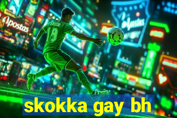 skokka gay bh